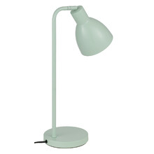 Pivot Iron Gooseneck Desk Lamp